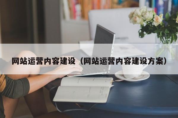启东网站运营内容建设(网站运营内容建设方案)